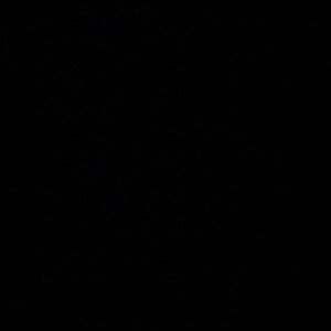 Meet your Posher, Reagan